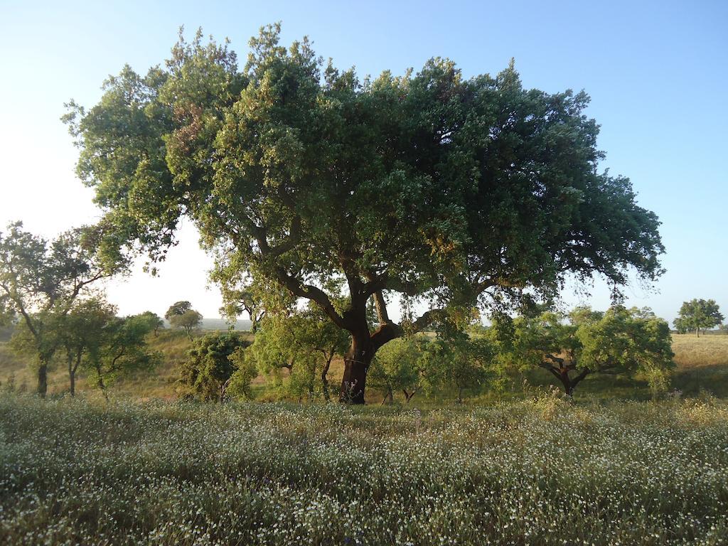 Herdade Dos Montes Bastos Santa Luzia  Extérieur photo