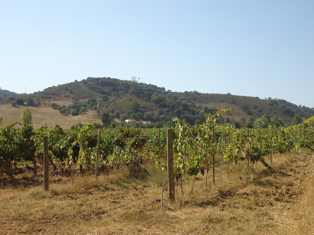 Herdade Dos Montes Bastos Santa Luzia  Extérieur photo