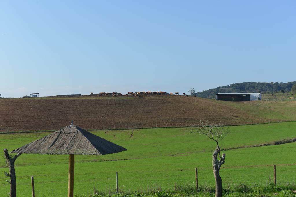 Herdade Dos Montes Bastos Santa Luzia  Extérieur photo