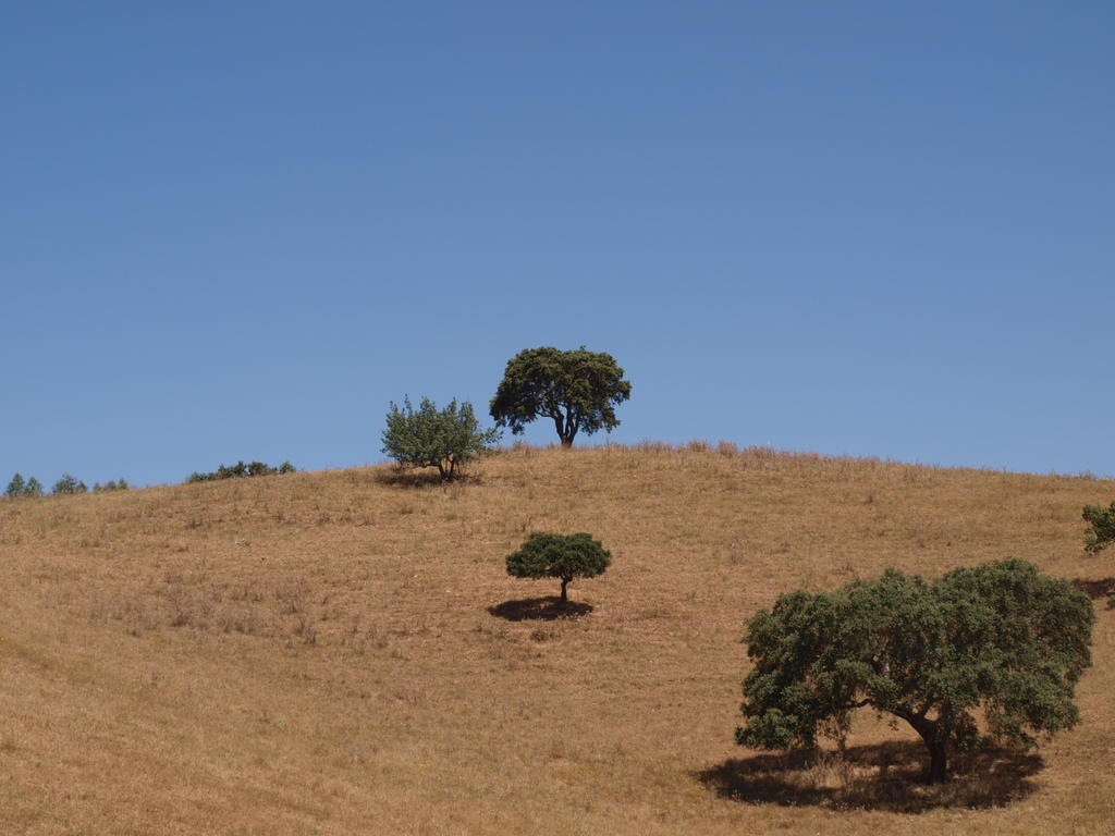 Herdade Dos Montes Bastos Santa Luzia  Extérieur photo
